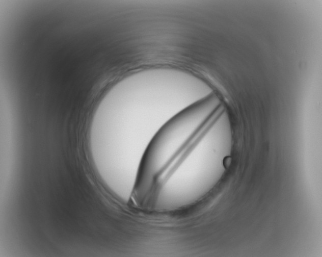 X0000114220685200910091049