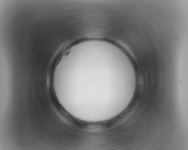 X0000114220686200910091049