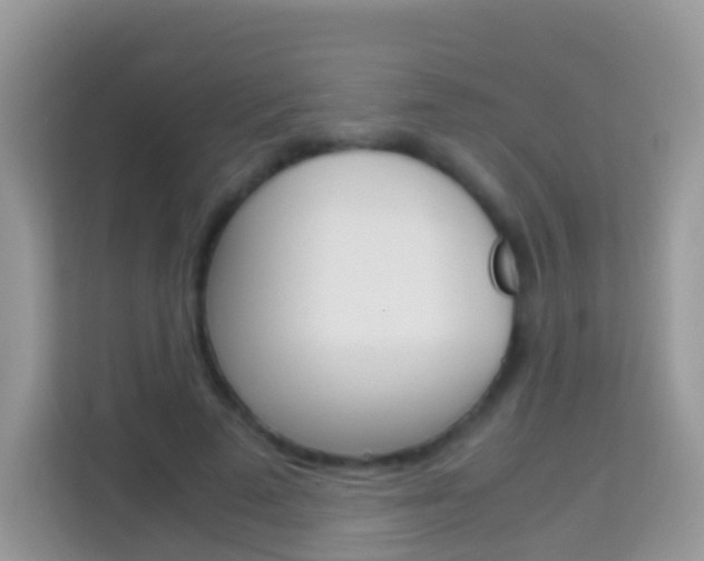 X0000114220689200910091049
