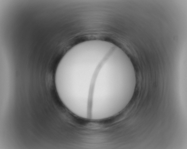 X0000114220699200910091049