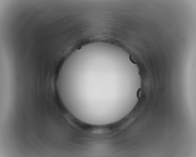 X0000114220708200910091049