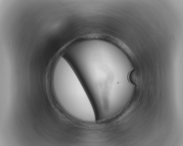 X0000114220722200910091048