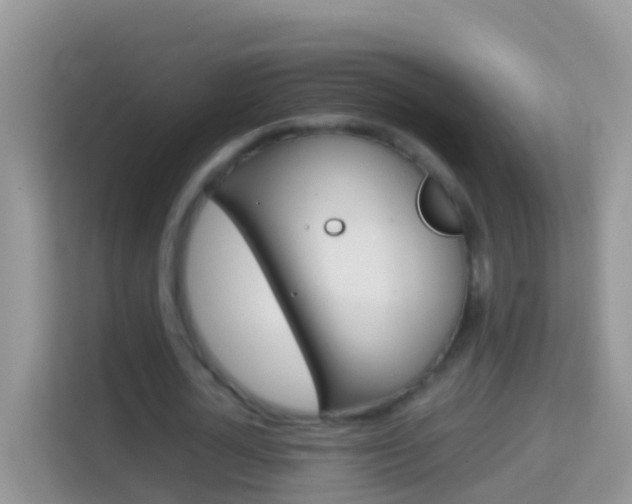 X0000114220724200910091048