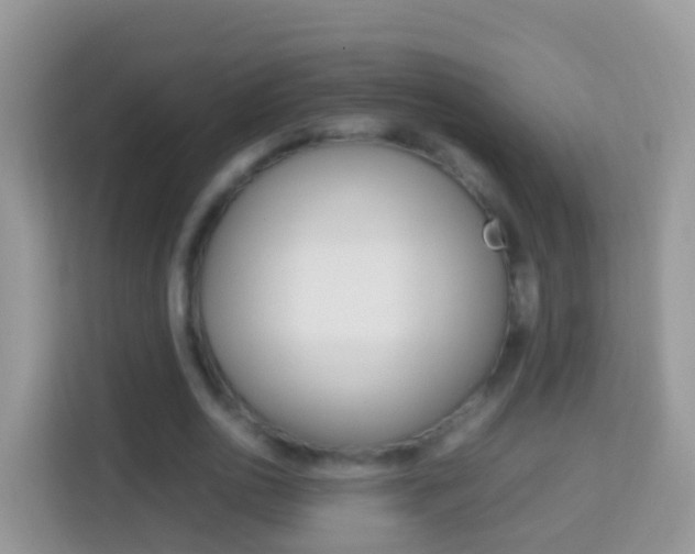 X0000114220726200910091048