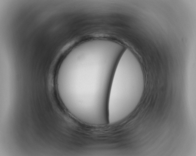 X0000114220727200910091048