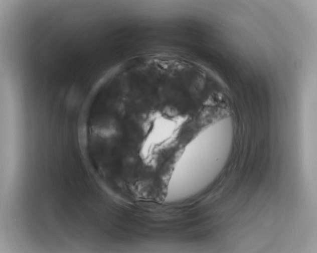 X0000114220729200910091048