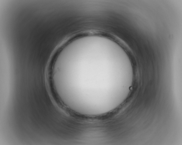 X0000114220730200910091048