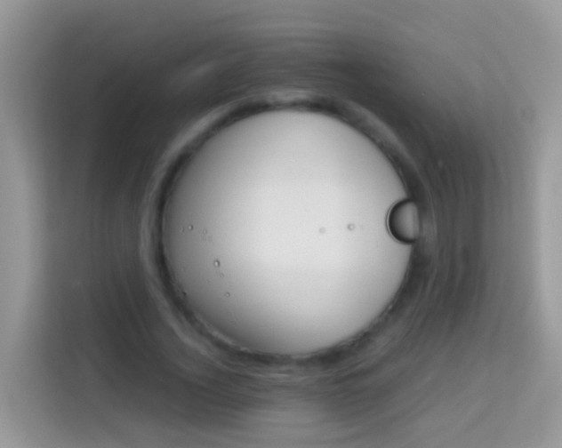 X0000114220732200910091048