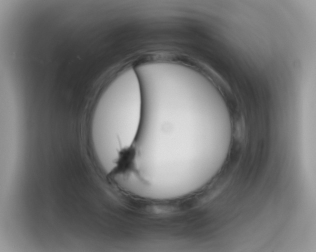 X0000114220733200910091048