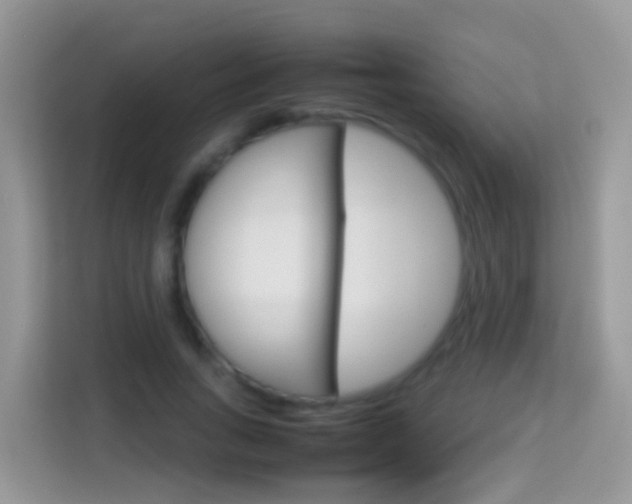 X0000114220735200910091048
