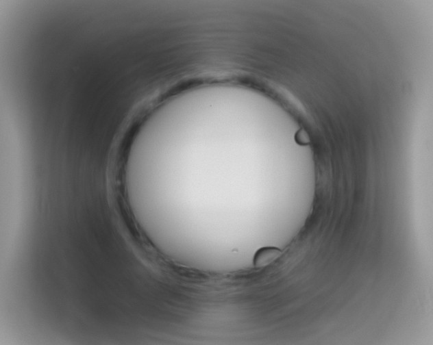 X0000114220736200910091048
