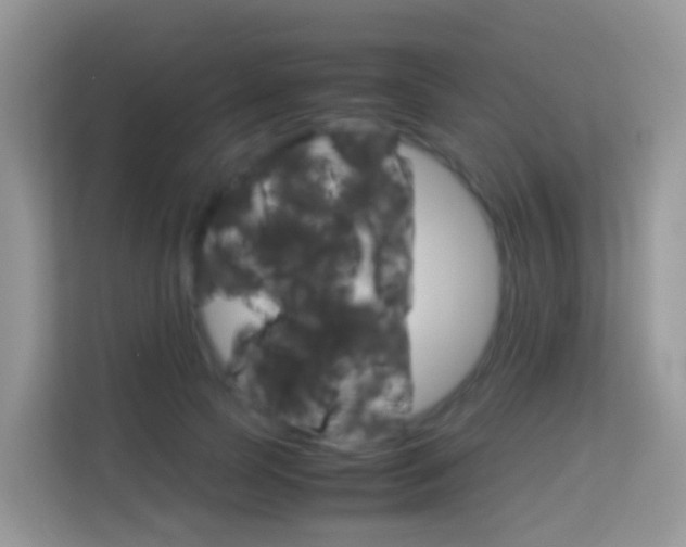 X0000114220745200910091048