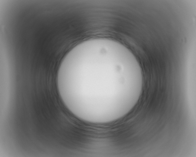 X0000114220748200910091048