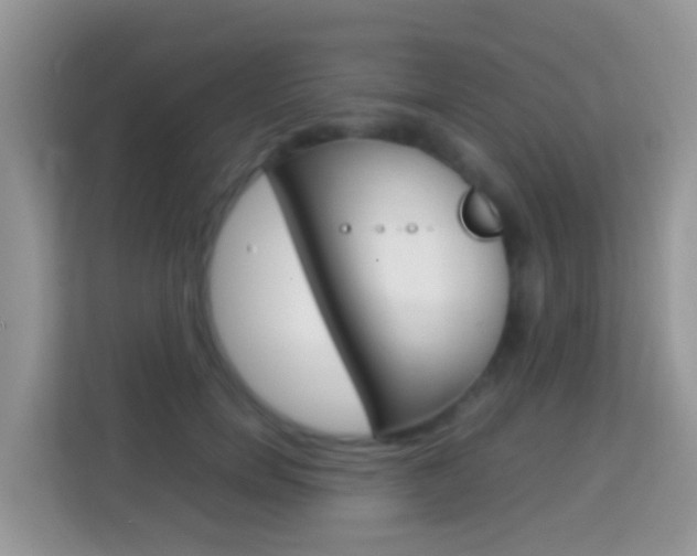X0000114220750200910091048