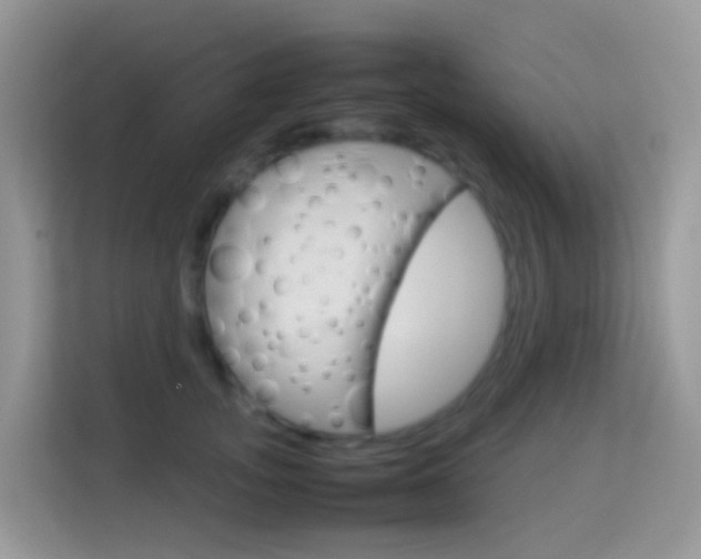 X0000114220755200910091048