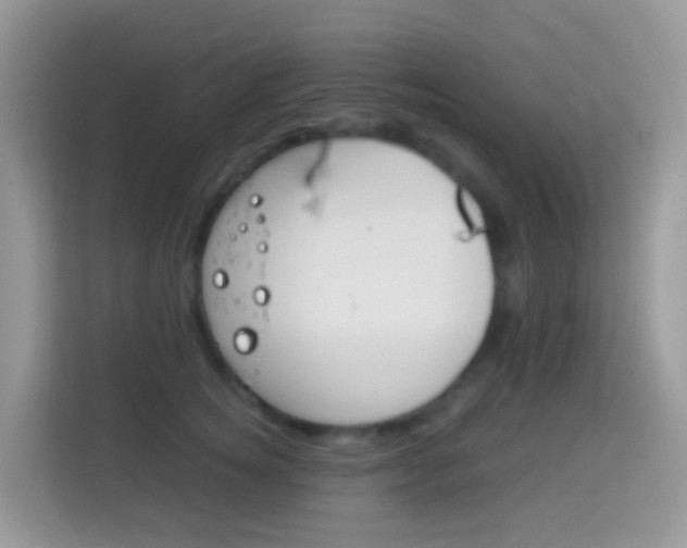 X0000114220756200910091049