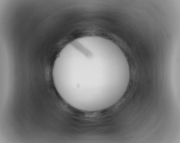 X0000114220757200910091049