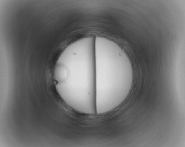 X0000114220759200910091049