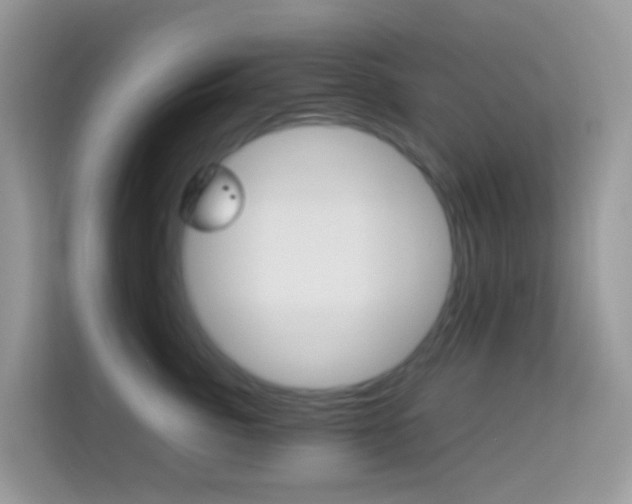 X0000114220764200910091049