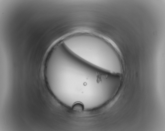 X0000114220783200910091048