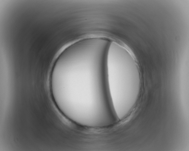 X0000114220803200910091048