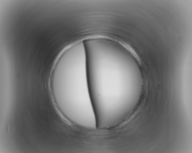 X0000114220805200910091048