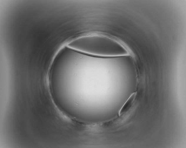 X0000114220813200910091047