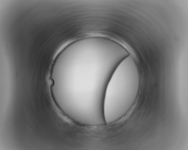 X0000114220814200910091047