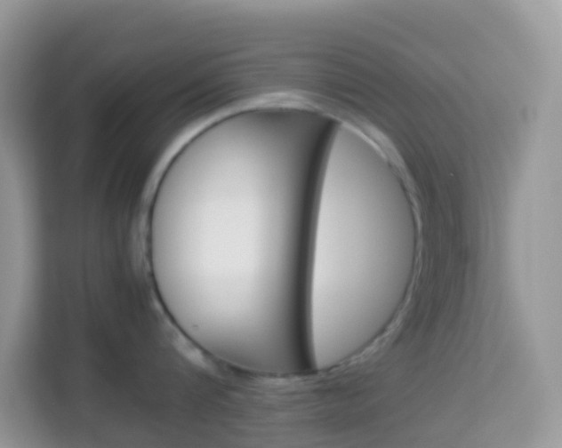 X0000114220816200910091047