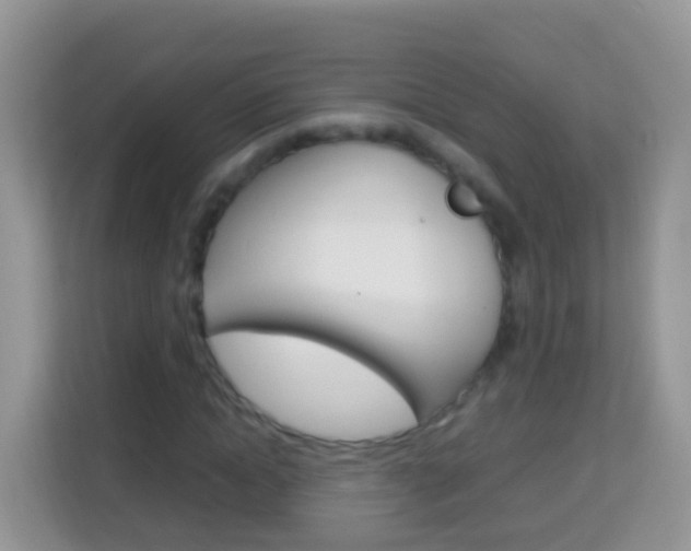 X0000114220822200910091047