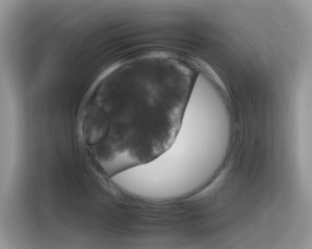 X0000114220827200910091047