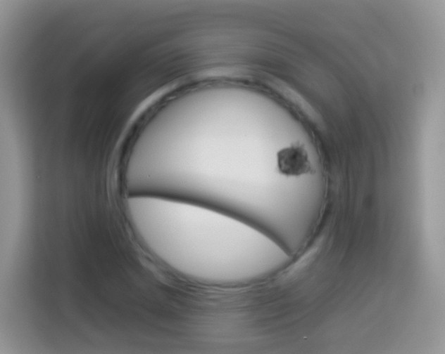 X0000114220830200910091047