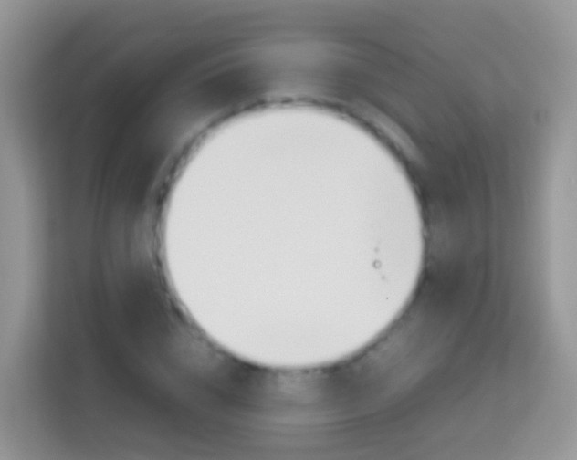 X0000114220832200910091047