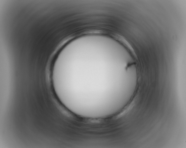 X0000114220835200910091047