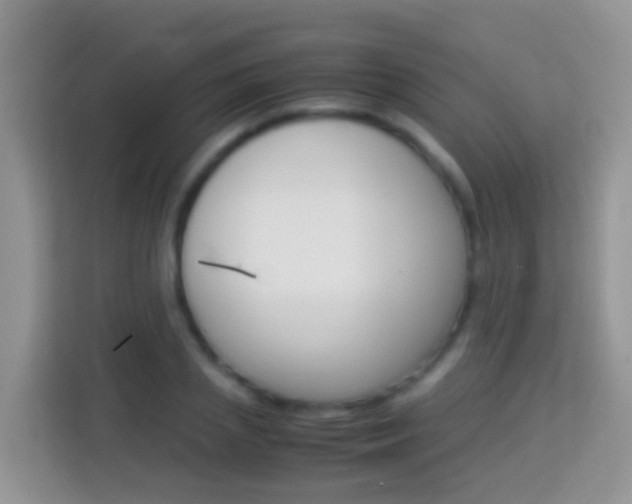 X0000114220837200910091047