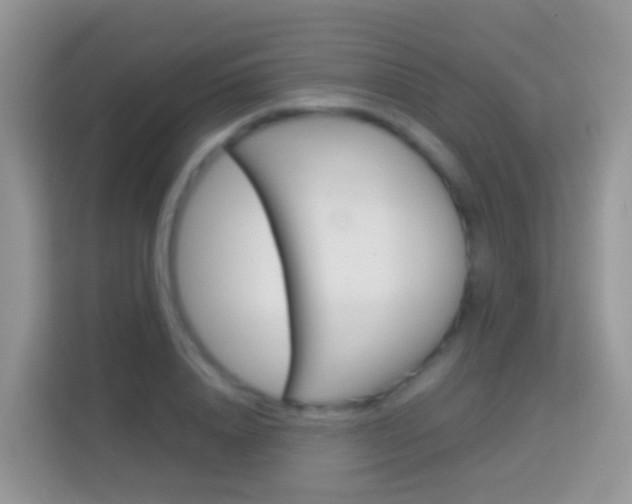 X0000114220840200910091047
