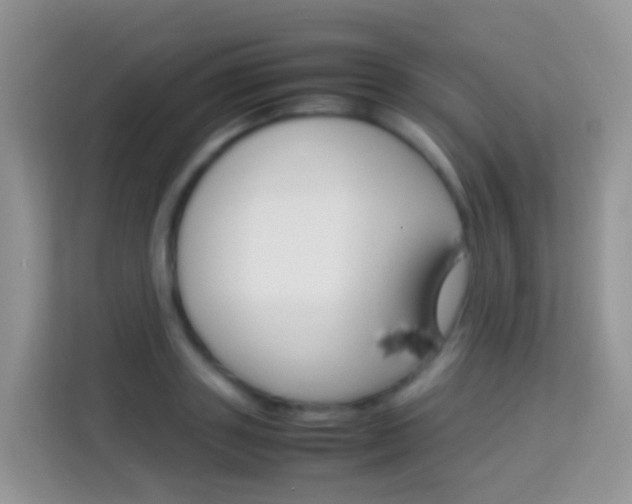X0000114220843200910091047