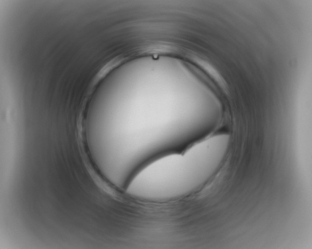 X0000114220850200910091047