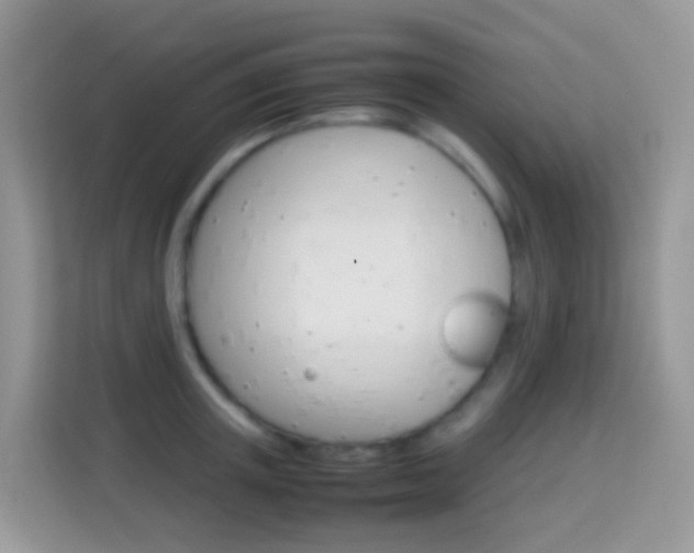 X0000114220851200910091047