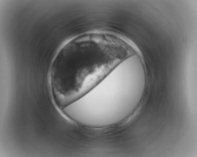 X0000114220855200910091047