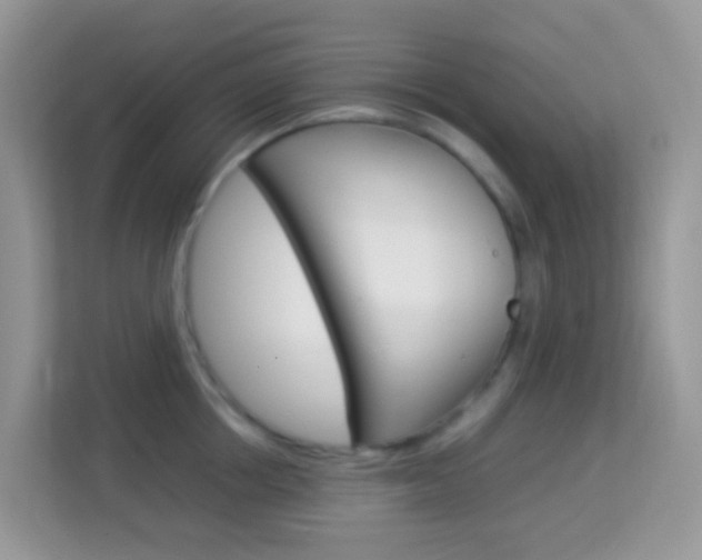 X0000114220858200910091047