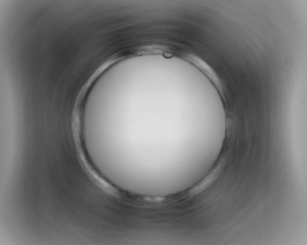 X0000114220859200910091047