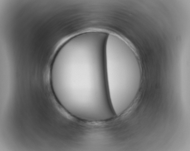 X0000114220862200910091047