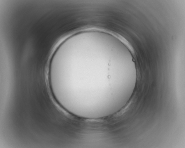 X0000114220863200910091047