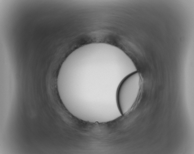X0000114220865200910091047