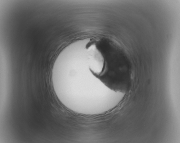 X0000114220867200910091047