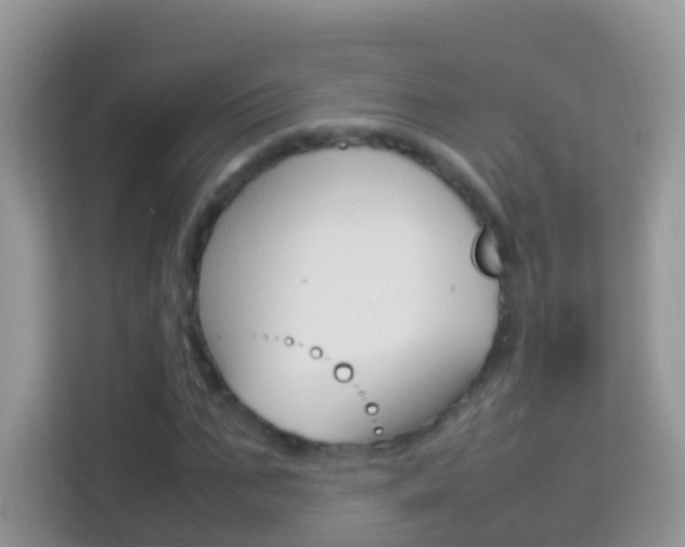 X0000114220871200910091047