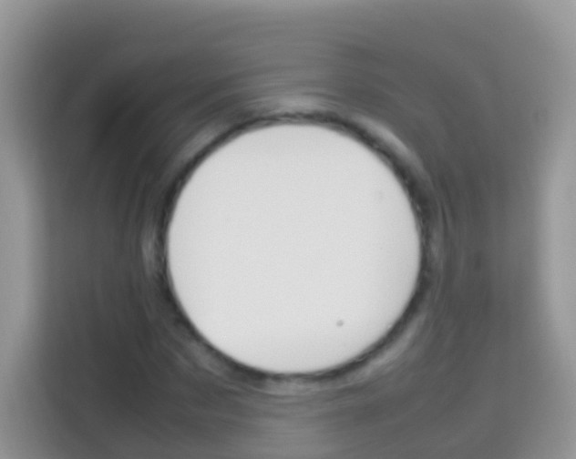 X0000114220873200910091047