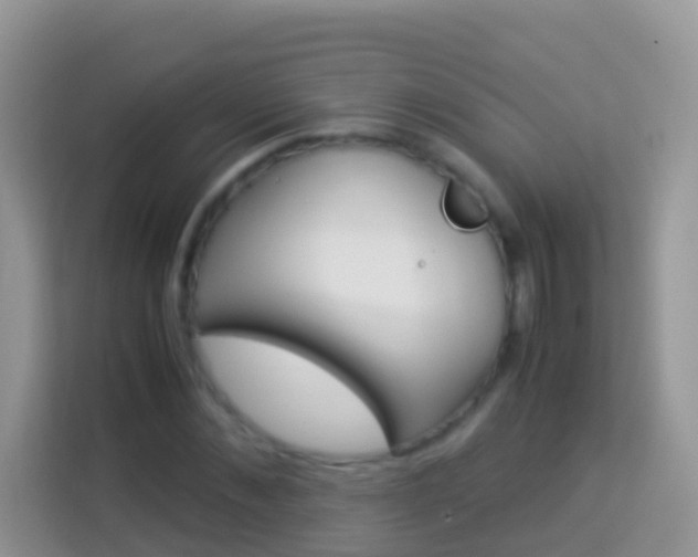 X0000114220876200910091047