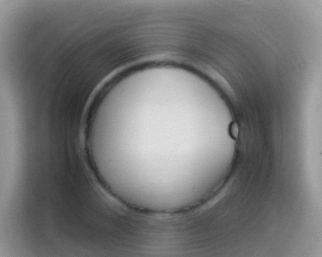X0000114220880200910091047